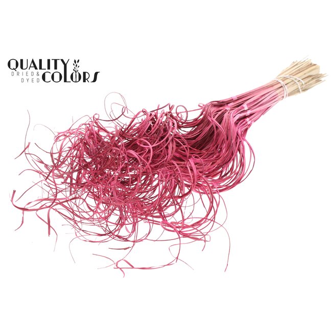 Dried Palm Leaf Vein | Curly Ting Ting | Colour: Cherry-Coloured | Dried Decoration | Length ± 70 centimetres | 3 veins per stem | Per 33 stems