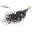 Dried Palm Leaf Vein | Curly Ting Ting | Colour: Black | Dried Decoration | Length ± 70 centimetres | 3 veins per stem | Per 33 stems