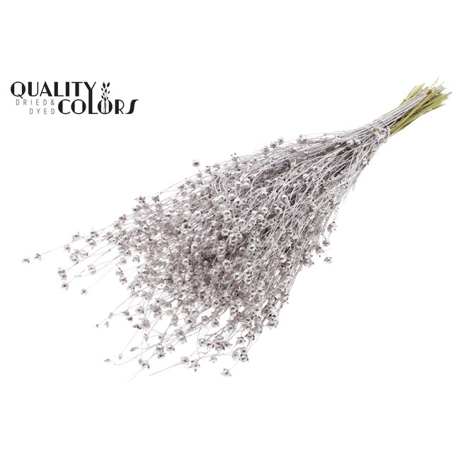 Getrockneter Flachs | Farbe: Champagnerfarben | Linum Trockenblumen | Länge ± 50 Zentimeter | Gewicht 150 Gramm | Pro Bund