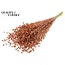 Dried Flax | Colour: Copper with Glitter | Linum Dried Flowers | Length ± 50 centimetres | Weight 150 grams | Per bunch