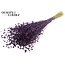 Dried Flax | Colour: Purple | Linum Dried Flowers | Length ± 50 centimetres | Weight 150 grams | Per bunch