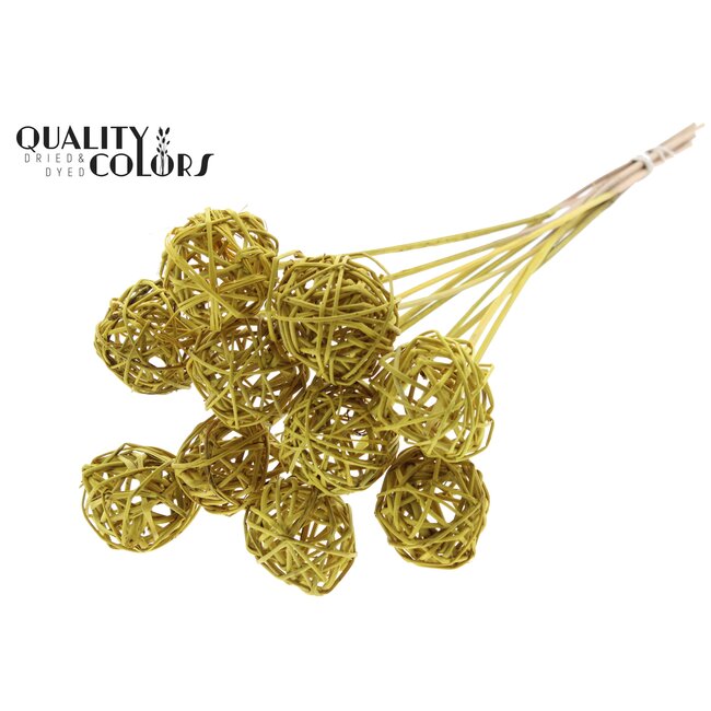 Rotan Bal op stok | Kleur: Geel | Bruce Ball Bijsteker | Diameter 5 centimeter | Lengte ± 50 centimeter | Per 10 bijstekers