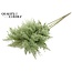 Dried Pampas Plumes | Colour: Light Green | Pampas Dried Flowers | Length ± 100 centimetres | 5 plumes per bunch | Per bunch