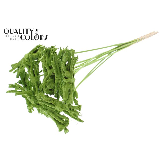 Decoratieve Coco Rose Boeketje op stok | Kleur: Lichtgroen | Coco Rose Posy Bijsteker | Lengte ± 50 centimeter | Per 10 bijstekers