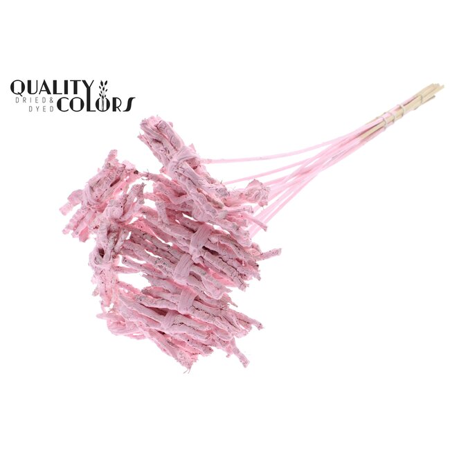 Decoratieve Coco Rose Boeketje op stok | Kleur: Lichtroze | Coco Rose Posy Bijsteker | Lengte ± 50 centimeter | Per 10 bijstekers