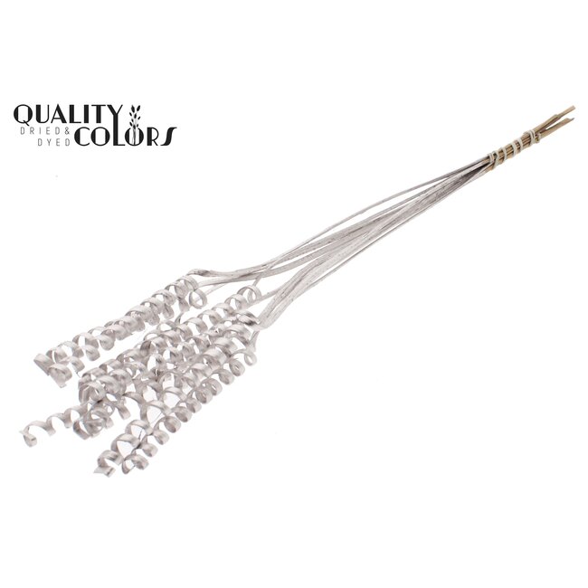 Palm Spiraal op steel | Kleur: Champagnekleurig | Cane Spring Bijsteker | Lengte bijsteker ± 50 centimeter | Per 10 bijstekers