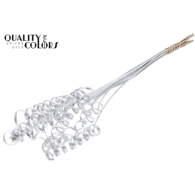 Palm Spiraal op steel | Kleur: Zilverkleurig | Cane Spring Bijsteker | Lengte bijsteker ± 50 centimeter | Per 10 bijstekers