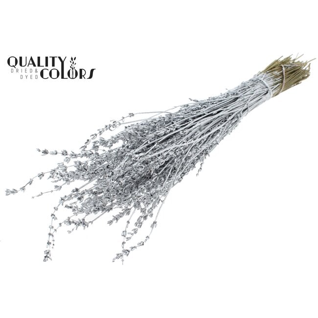 Lavendel per bunch Silver