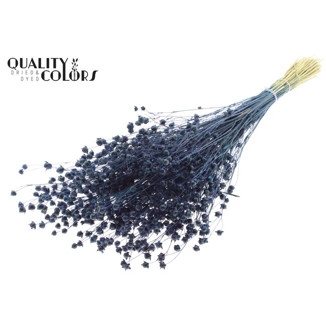 Dried Flax | Colour: Dark Blue | Linum Dried Flowers | Length ± 50 centimetres | Weight 150 grams | Per bunch