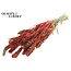 Dried Millet Sprays | Colour: Multicoloured Red | Millet Dried Flowers | Length ± 60 centimetres | Weight 250 grams | Per bunch