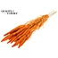 Dried Millet Spray | Colour: Intense Orange | Millet Dried Flowers | Length ± 70 centimetres | Weight 200 grams | Per bunch