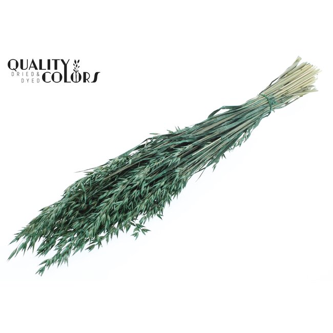 Gedroogde Haver | Kleur: Pearl Groen | Avena droogbloemen | Lengte ± 60 centimeter | Gewicht 250 gram | Per bos