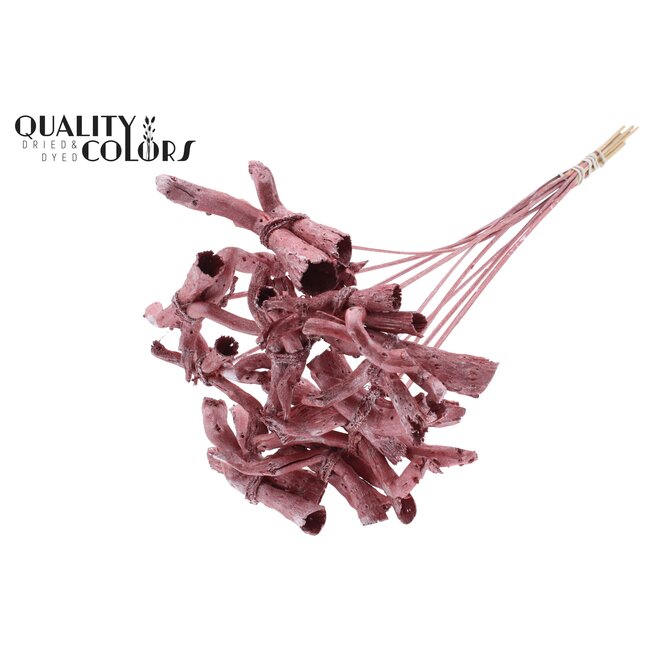 Gandiraj on stem Metallic Red