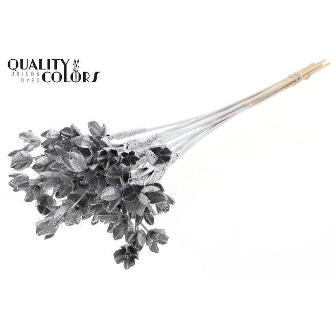 Bakuli on stem Silver