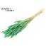 Dried Wheat | Colour: Intense Mint Green | Triticum Dried Flowers | Length ± 60 centimetres | Weight 100 grams | Per bunch