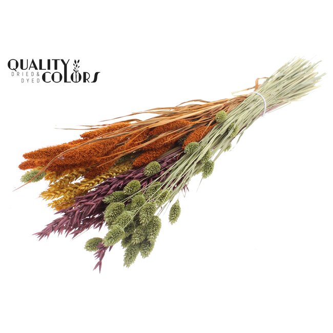 Dried Flower Mix Bouquet | Pumpkin Spice | Colour: Mixed Colours | Length ± 60 centimetres | Per bunch