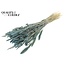 Dried Flower Mix Bouquet | Colour: Frosted Light Blue | Length ± 60 centimetres | Per bunch