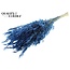 Dried Wild Oats | Colour: Blue | Wild Avena Dried Flowers | Length ± 70 centimetres | Weight 100 grams | Per bunch