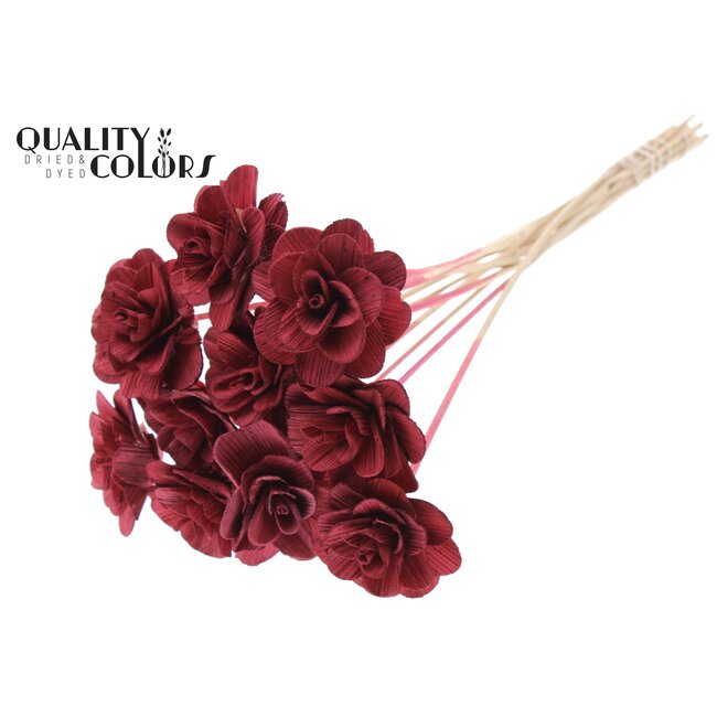 Shola Houten Roos op stok | Kleur: Bordeauxrood | Shola Beetal Rose Bijsteker | Diameter roos 8 centimeter | Lengte bijsteker ± 50 centimeter | Per 10 bijstekers