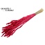 Dried Wheat | Colour: Intense Cherry Red | Triticum Dried Flowers | Length ± 60 centimetres | Weight 100 grams | Per bunch
