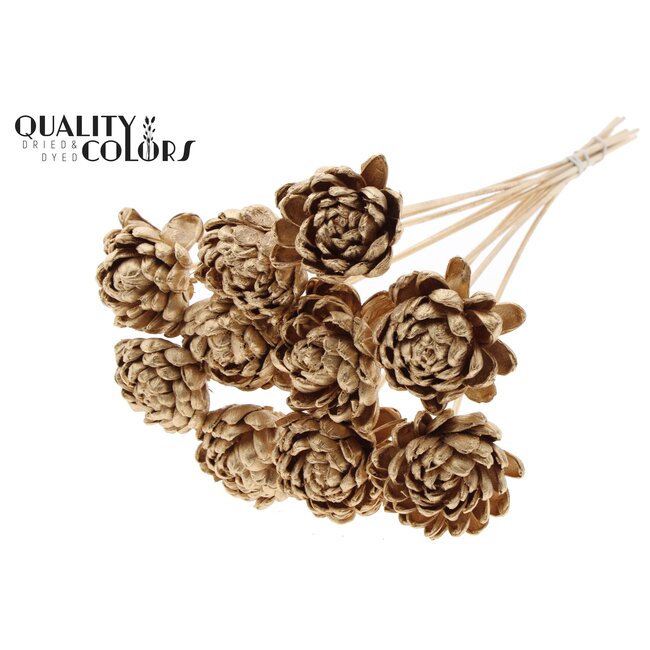 Shola Houten Roos op stok | Kleur: Antiek Goudkleurig | Shola New Beauty Rose Bijsteker | Diameter roos 8 centimeter | Lengte bijsteker ± 50 centimeter | Per 10 bijstekers