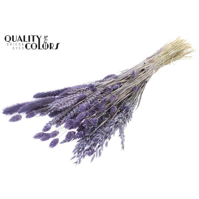 Gedroogde Bloemenmix Boeket | Kleur: Frosted Milkapaars | Lengte ± 60 centimeter | Per bos