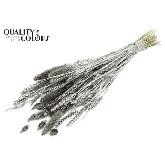 Gedroogde Bloemenmix Boeket | Kleur: Platinakleurig | Lengte ± 60 centimeter | Per bos