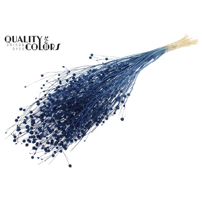 Dried Flax | Colour: Intense Blue | Linum Dried Flowers | Length ± 70 centimetres | Weight 100 grams | Per bunch