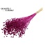 Dried Flax | Colour: Intense Lilac | Linum Dried Flowers | Length ± 70 centimetres | Weight 100 grams | Per bunch