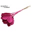 Dried Palm Spear Heart-Shaped | Colour: Cherry-Coloured | Length ± 45 centimetres | Per 10 stems