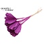 Dried Palm Spear Heart-Shaped | Colour: Lilac | Length ± 45 centimetres | Per 10 stems
