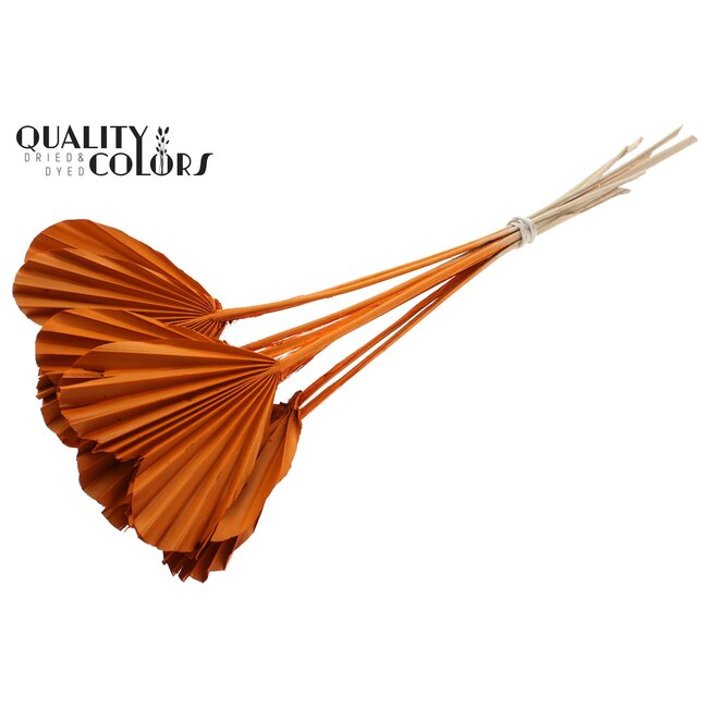 Dried Palm Spear Heart-Shaped | Colour: Orange | Length ± 45 centimetres | Per 10 stems