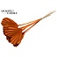 Dried Palm Spear Heart-Shaped | Colour: Orange | Length ± 45 centimetres | Per 10 stems