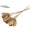 Dried Palm Spear Heart-Shaped | Colour: Antique Gold | Length ± 45 centimetres | Per 10 stems