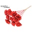 Shola Houten Roos op stok | Kleur: Koraalrood | Shola Beetal Rose Bijsteker | Diameter roos 8 centimeter | Lengte bijsteker ± 50 centimeter | Per 10 bijstekers