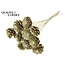 Sliced Pine Cone on Stick | Colour: Gold | Pine Cone Diameter 5 - 7 centimetres | Length ± 50 centimetres | Per 10 picks