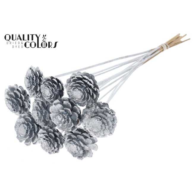 Sliced Pine Cone on Stick | Colour: Silver | Pine Cone Diameter 5 - 7 centimetres | Length ± 50 centimetres | Per 10 picks