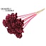 Shola Wooden Rose on Stick | Colour: Burgundy | Shola New Beauty Rose Stick | Rose Diameter 6 centimetres | Stick Length ± 50 centimetres | Per 10 sticks
