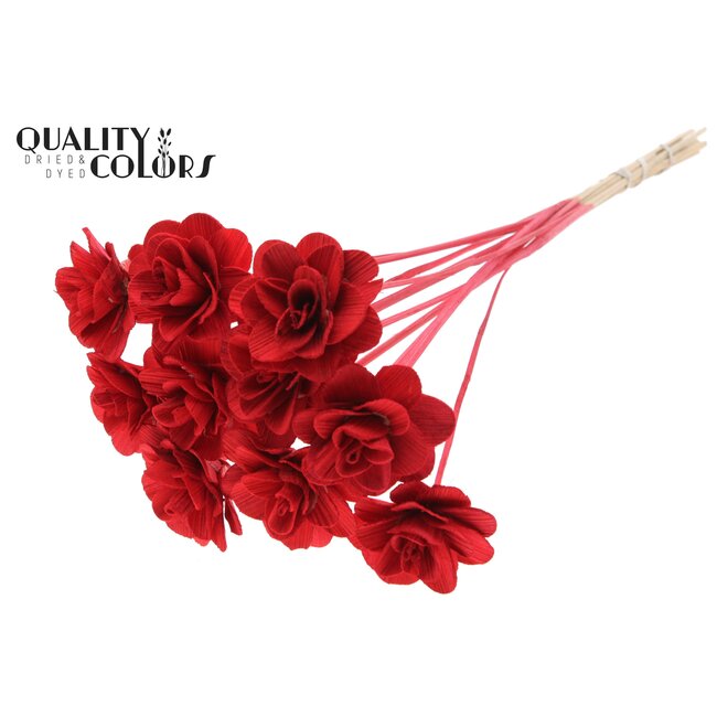 Shola Houten Roos op stok | Kleur: Rood | Shola Beetal Rose Bijsteker | Diameter roos 8 centimeter | Lengte bijsteker ± 50 centimeter | Per 10 bijstekers