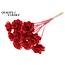 Shola Houten Roos op stok | Kleur: Rood | Shola Beetal Rose Bijsteker | Diameter roos 8 centimeter | Lengte bijsteker ± 50 centimeter | Per 10 bijstekers