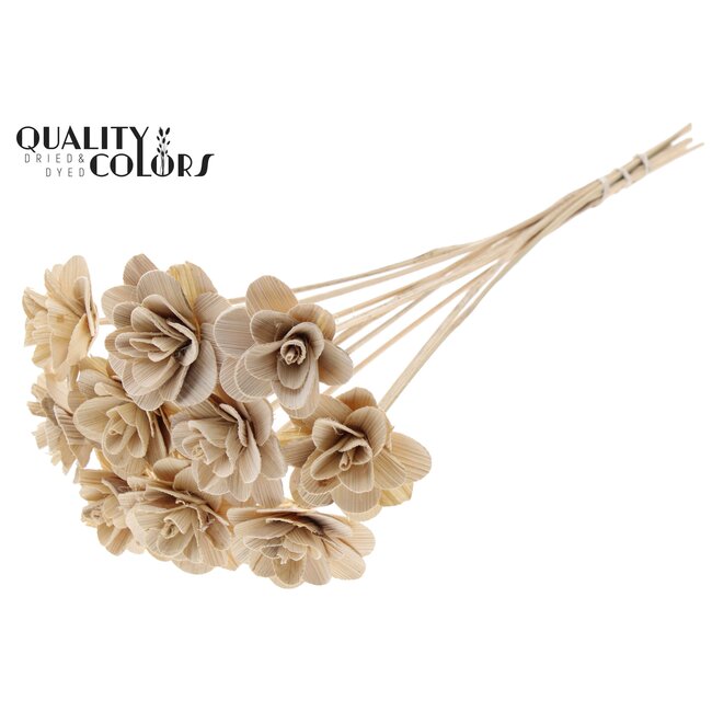 Shola Houten Roos op stok | Kleur: Naturelle Wit | Shola Beetal Rose Bijsteker | Diameter roos 8 centimeter | Lengte bijsteker ± 50 centimeter | Per 10 bijstekers