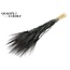 Dried Bearded Wheat | Colour: Intense Black | Triticum Beard Dried Flowers | Length ± 70 centimetres | Per bunch