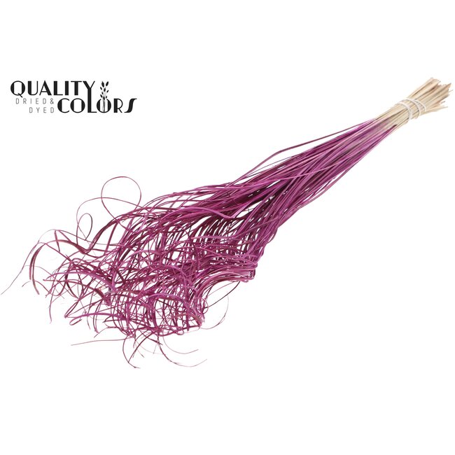 Dried Palm Leaf Vein | Curly Ting Ting | Colour: Lilac | Dried Decoration | Length ± 70 centimetres | Per 100 stems