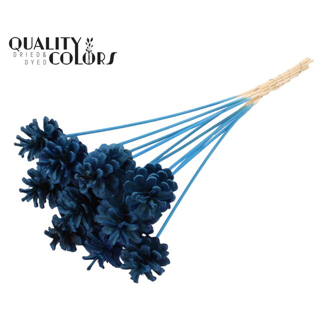 Pine cone on stick | Colour: Intense Blue | Pine cone diameter 5 - 7 centimetres | Length ± 50 centimetres | Per 10 picks
