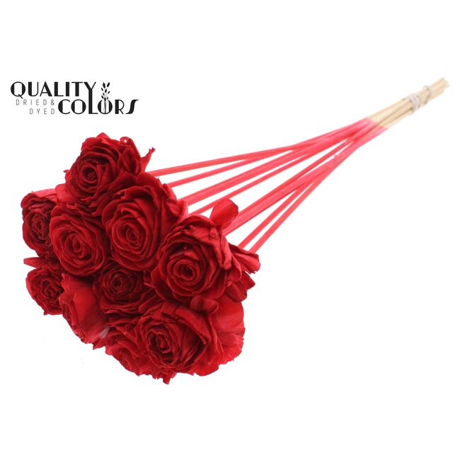 Shola Houten Roos op stok | Kleur: Rood | Shola Beauty Rose Bijsteker | Diameter roos 6 centimeter | Lengte bijsteker ± 50 centimeter | Per 10 bijstekers