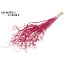 Dried Palm Leaf Vein | Curly Ting Ting | Colour: Cherry-Coloured | Dried Decoration | Length ± 70 centimetres | Per 100 stems