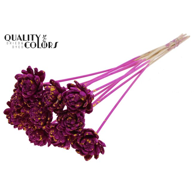 Shola Houten Roos op stok | Kleur: Gespetterd Lilakleurig Geel | Shola New Beauty Rose Bijsteker | Diameter roos 6 centimeter | Lengte bijsteker ± 50 centimeter | Per 10 bijstekers