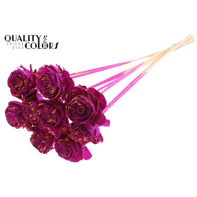 Shola Houten Roos op stok | Kleur: Gespetterd Lilakleurig Geel | Shola Beauty Rose Bijsteker | Diameter roos 6 centimeter | Lengte bijsteker ± 50 centimeter | Per 10 bijstekers