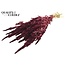 Dried Amaranthus | Colour: Bordeaux Red | Cat's Tail Dried Flowers | Length ± 60 centimetres | Per bunch