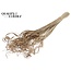 Dried Palm Leaf Vein | Curly Ting Ting | Colour: Natural Brown | Dried Decoration | Length ± 70 centimetres | Per 100 stems